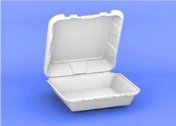 1 Compartment Hinged Foam Food Service Container, DOL002190