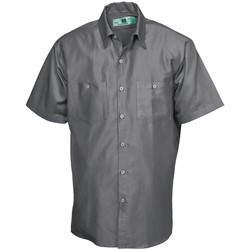 Reed 100% Cotton Shirt - 584